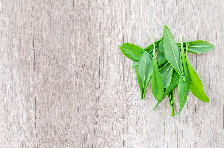 Wild Garlic Leaves, high angle view, nature, wellbeing, healthy Free HD Wallpaper
