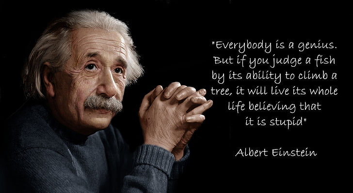 Albert Einstein Quotes on Imagination, white hair, board, one person, einstein Free HD Wallpaper