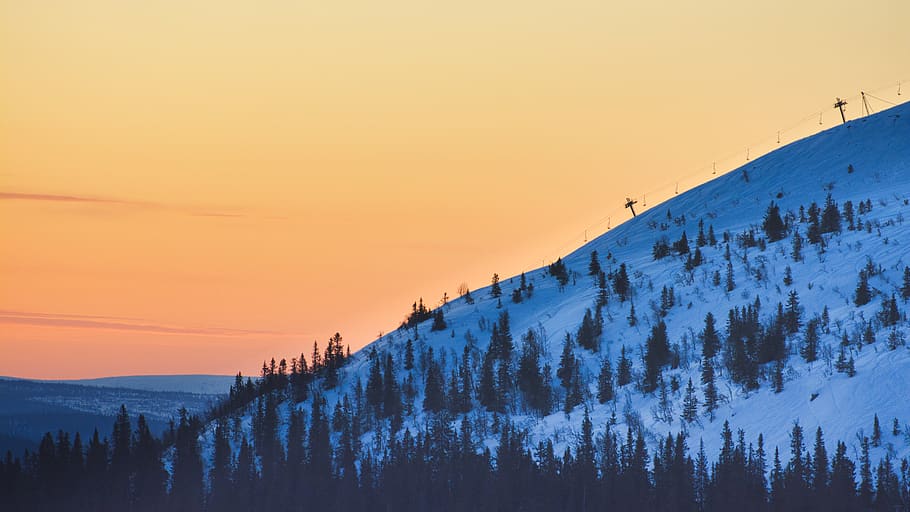 computer backgrounds, no people, sunrise on trysilfjellet, fir Free HD Wallpaper