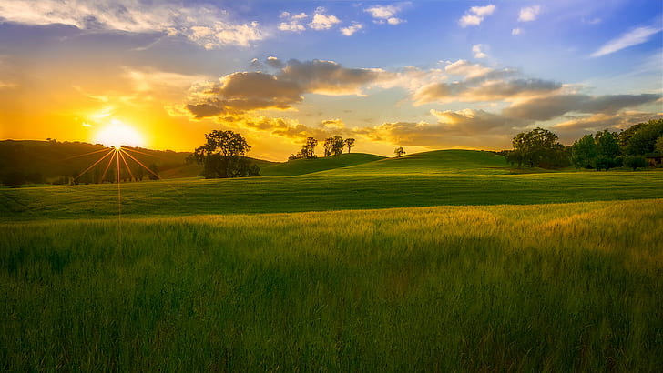 Country Scene Peaceful Evening, san  luis  obispo  california, agriculture, sunset, peaceful Free HD Wallpaper