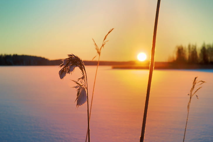 dusk, water, outdoors, sun Free HD Wallpaper