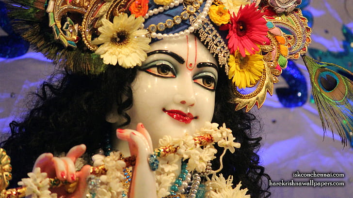 Krishna Costume Adult, 4k pics, krishna Free HD Wallpaper