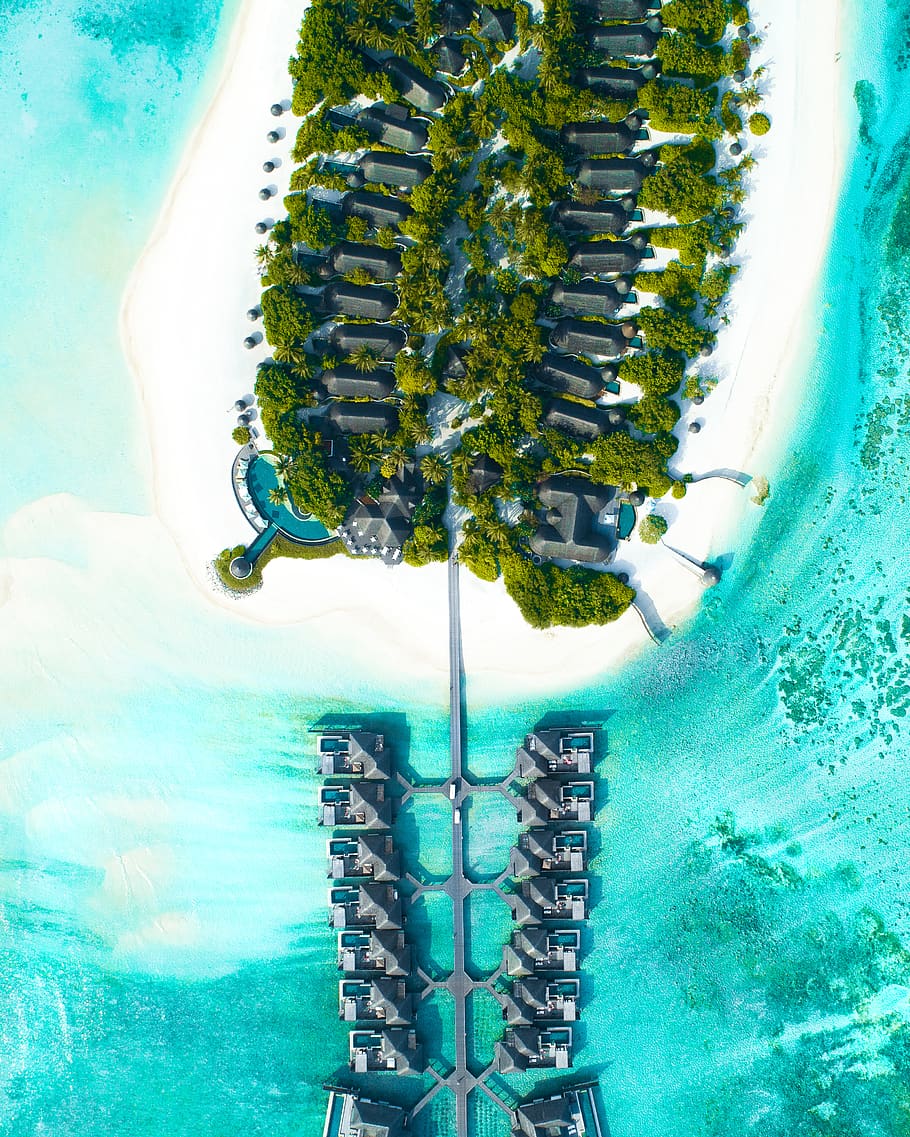 Maldives Island Activities, no people, animal themes, motion, sunlight Free HD Wallpaper