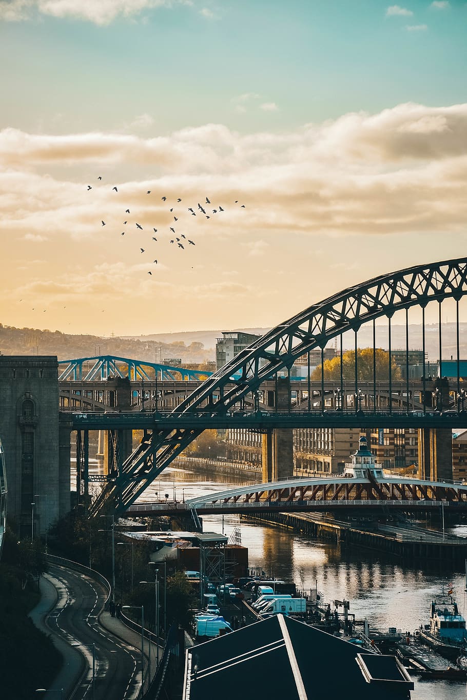 Newcastle Upon Tyne Hotels, flying, cityscape, cloud  sky, animal Free HD Wallpaper