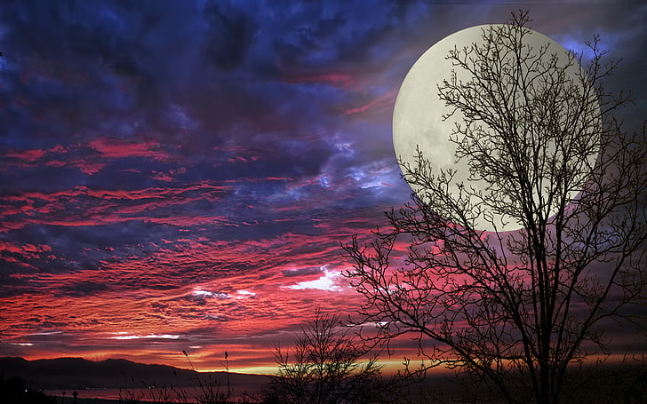 Full Moon Week, tranquility, beauty in nature, sky, orange color Free HD Wallpaper