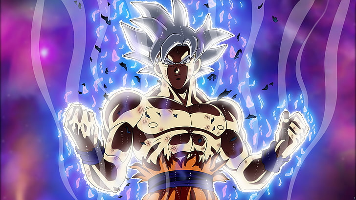 Goku in Dragon Ball Super, mastered ultra instinct, dragon, architecture, male likeness Free HD Wallpaper