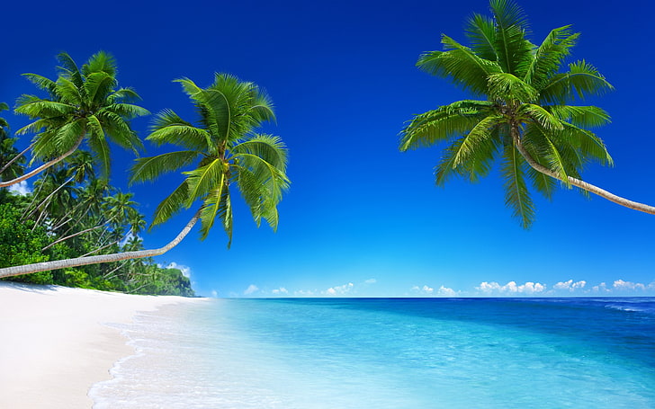 Ocean Waves HD, no people, vacations, luxury, tropical tree Free HD Wallpaper