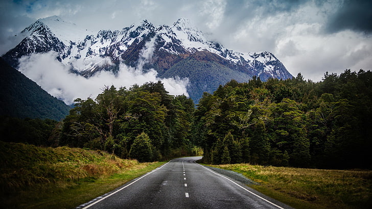 Scenic Mountain Road, direction, winter, coniferous tree, pine tree Free HD Wallpaper