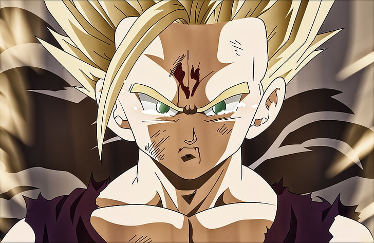 Super Saiyan Levels, dragon ball z, ball, saiyan, super Free HD Wallpaper