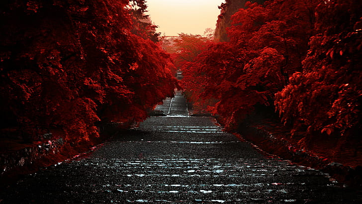 Japanese Garden, honshu, japan, asia, nature