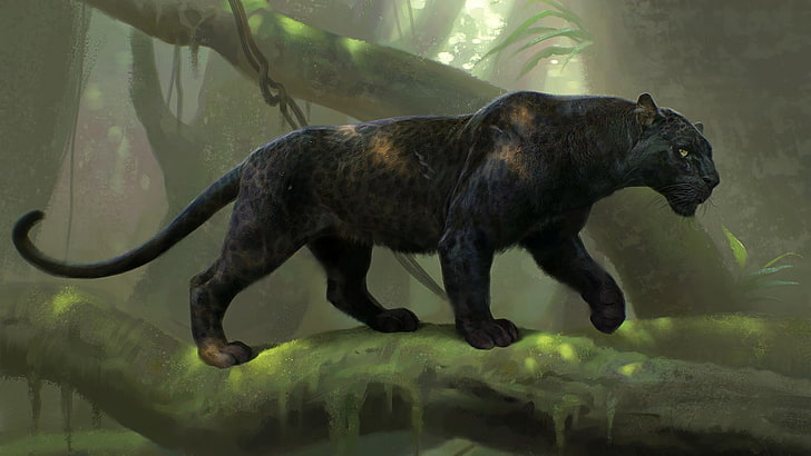 Mowgli Jungle Book Characters, animals in the wild, no people, day, black panther Free HD Wallpaper