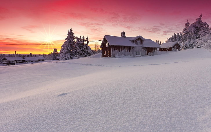 Windows 10 as Nature, no people, cold temperature, frozen, sunset