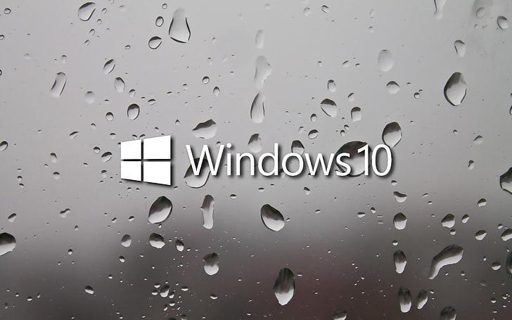 Windows 1.0 Wiki, text, western script, windows, closeup Free HD Wallpaper