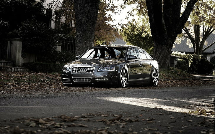 Autumn Leaves Fall Colors, audi a8, urban, audi s8, fall Free HD Wallpaper