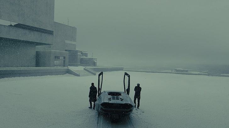 Blade Runner 2049 Movie Poster, winter, nature, architecture, blade runner