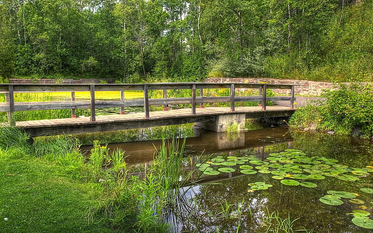 Computer HD Full Screen, footbridge, growth, no people, bridge  man made structure Free HD Wallpaper