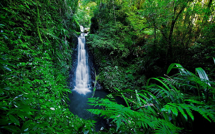 Full Screen Large, forest, green color, waterfall, flowing water Free HD Wallpaper