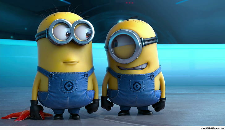 Funny Minion Photos, minions, funny, cartoon Free HD Wallpaper