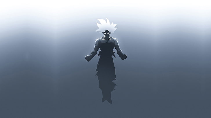 Goku Complete Ultra Instinct, dragon ball, dragon ball super, ultra instinct dragon ball, goku Free HD Wallpaper