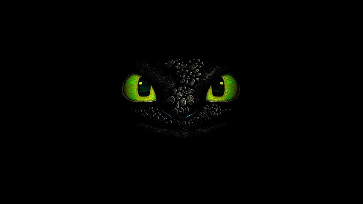 Hiccup From How to Train Your Dragon, copy space, animal body part, black background, animal Free HD Wallpaper