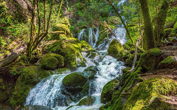 Hinh Nen Full HD, flowing, land, day, water Free HD Wallpaper