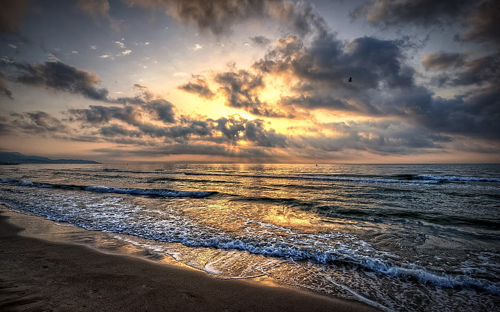 idyllic, horizon over water, sport, beach