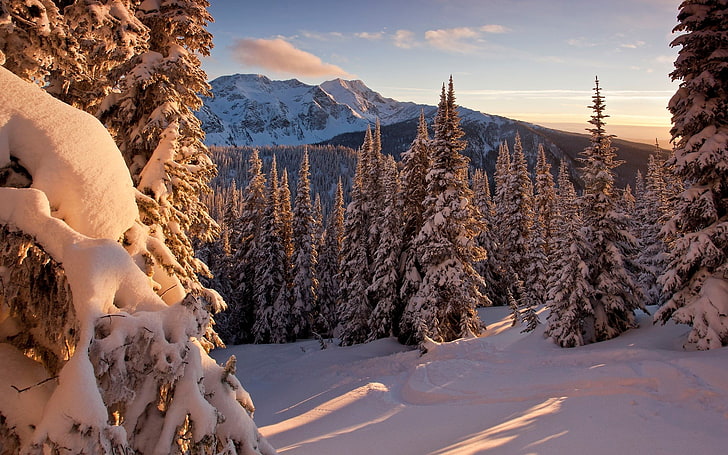 Low Winter Sun Sky, tranquility, mountain, land, computer desktop  full screen nature pics 1920x1200