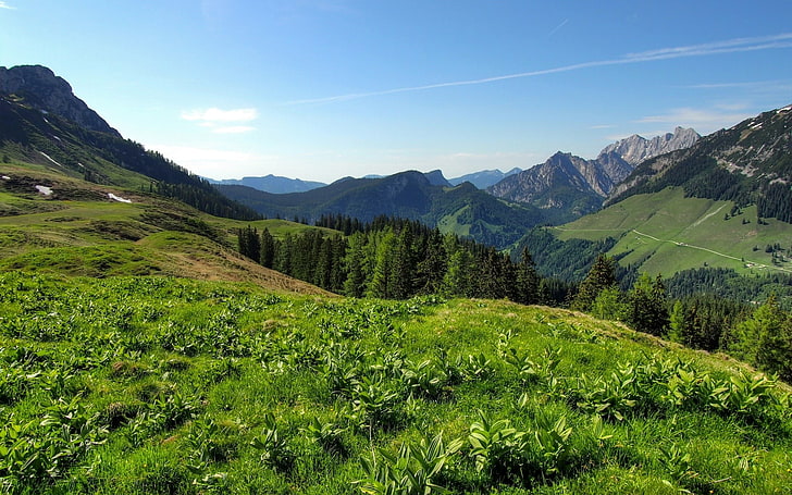 Meadow Landscaping, mountain range, nonurban scene, tranquil scene, land