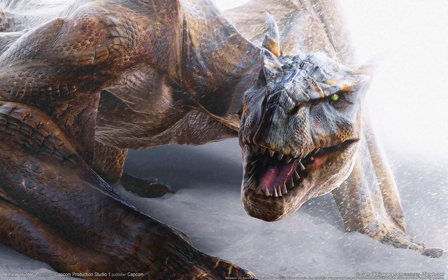 Monster Hunter 1, brown, animal head, animal mouth, animals in the wild