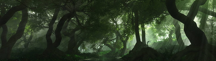 owdlarrd, panoramic, 3840x1080 Free HD Wallpaper