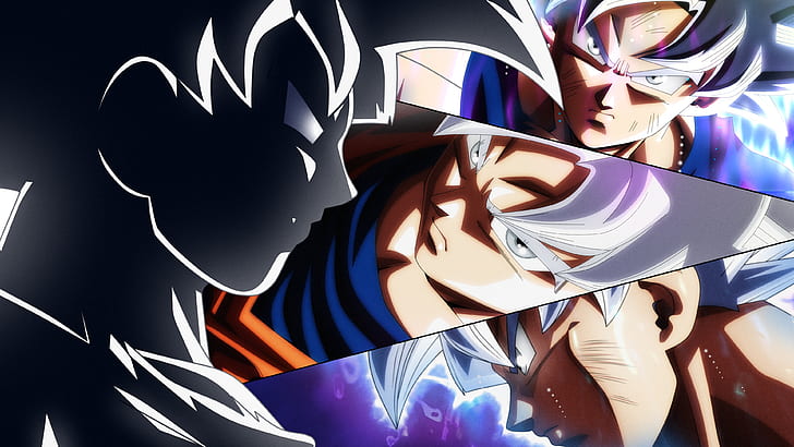 Super Dragon Ball Z, ultra instinct, dragon ball super, dragon ball, son goku Free HD Wallpaper