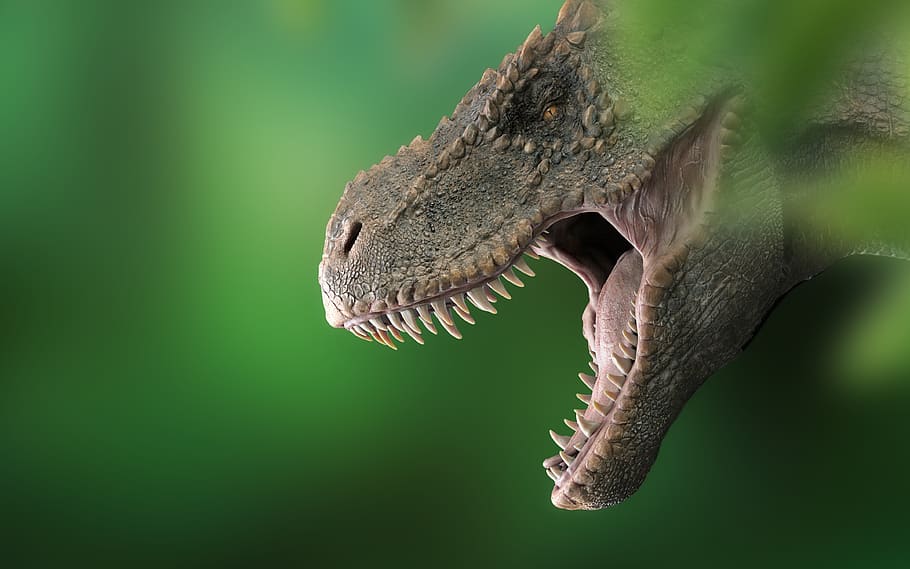 T. Rex Facts, animal body part, focus on foreground, animal wildlife, mouth open Free HD Wallpaper