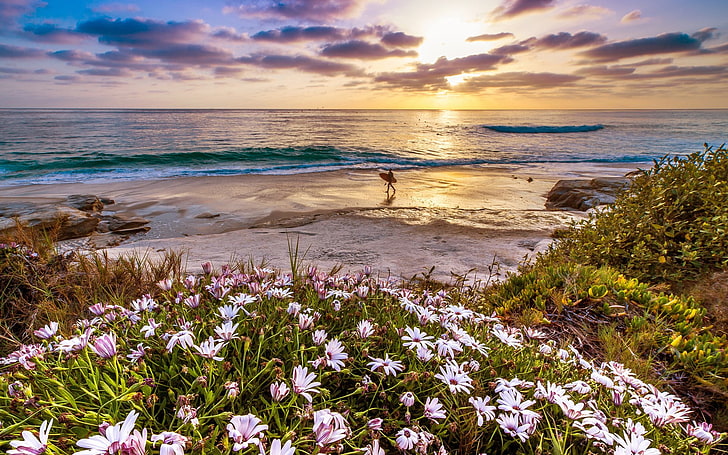 tranquil scene, sea, sand, water