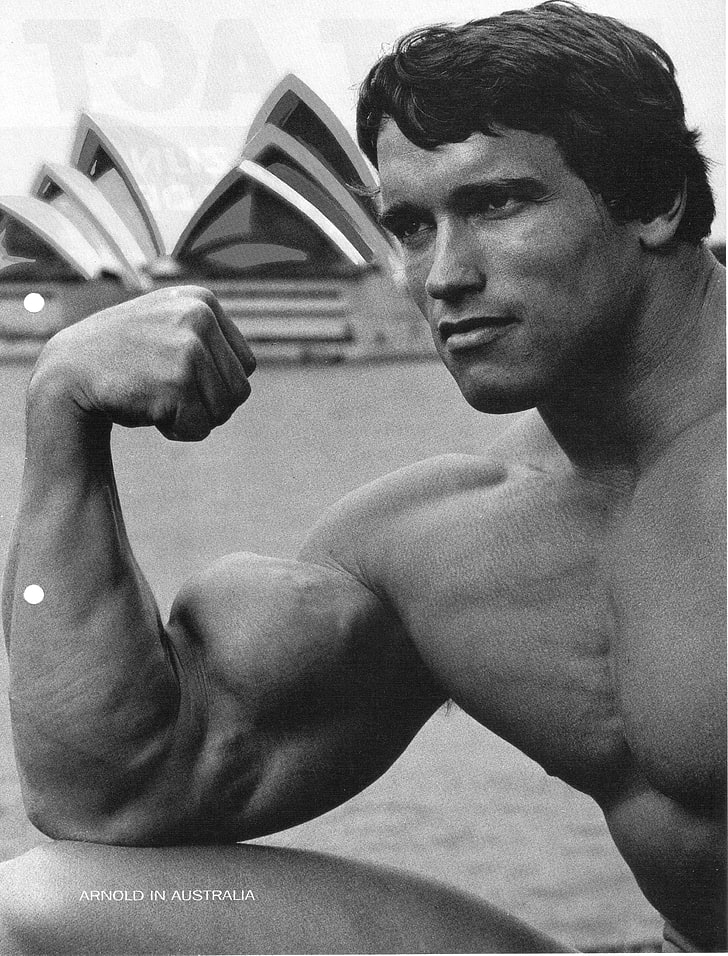 Arnold Schwarzenegger Bodybuilding, abdominal muscle, portrait, sport, waist up Free HD Wallpaper