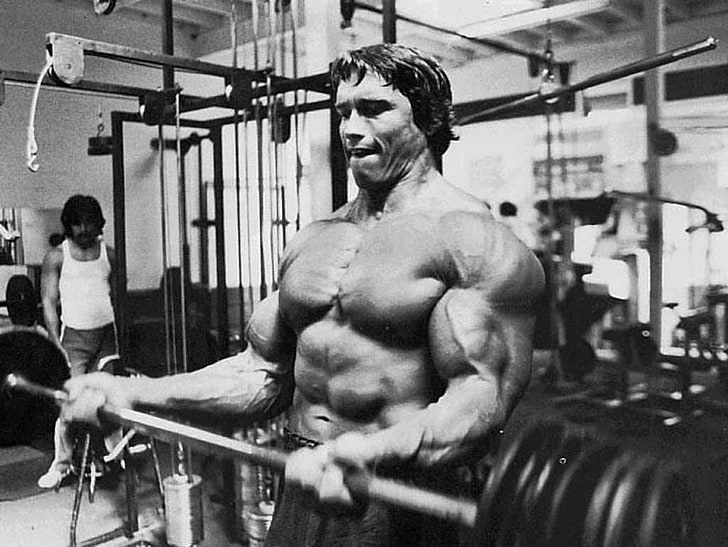 Arnold Schwarzenegger Squat, sports training, strength, physical activity, muscular build Free HD Wallpaper