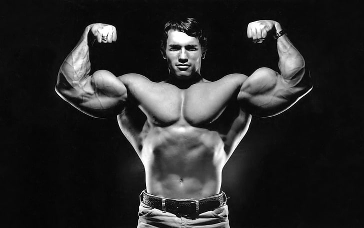 Arnold Schwarzenegger Woman, strength, indoors, healthy lifestyle, studio shot Free HD Wallpaper