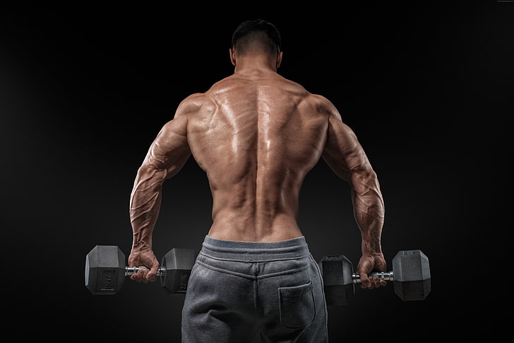 Best Back Muscles, body care, human muscle, sports training, muscular build Free HD Wallpaper