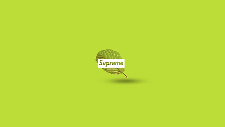 Custom Supreme Logo, still life, green color, communication, birthday Free HD Wallpaper