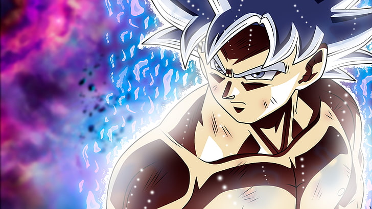 Goku Ultra Instinct 2, communication, dragon ball, nature, outdoors Free HD Wallpaper