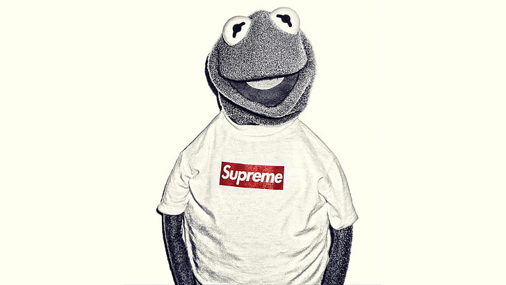 Kermit Da Frog, white background, indoors, waist up, representation