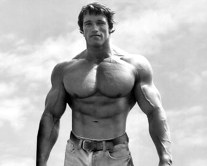 Lou Ferrigno vs Arnold Schwarzenegger, bodybuilder, gyms, Arnold Schwarzenegger, arnold schwarzenegger Free HD Wallpaper