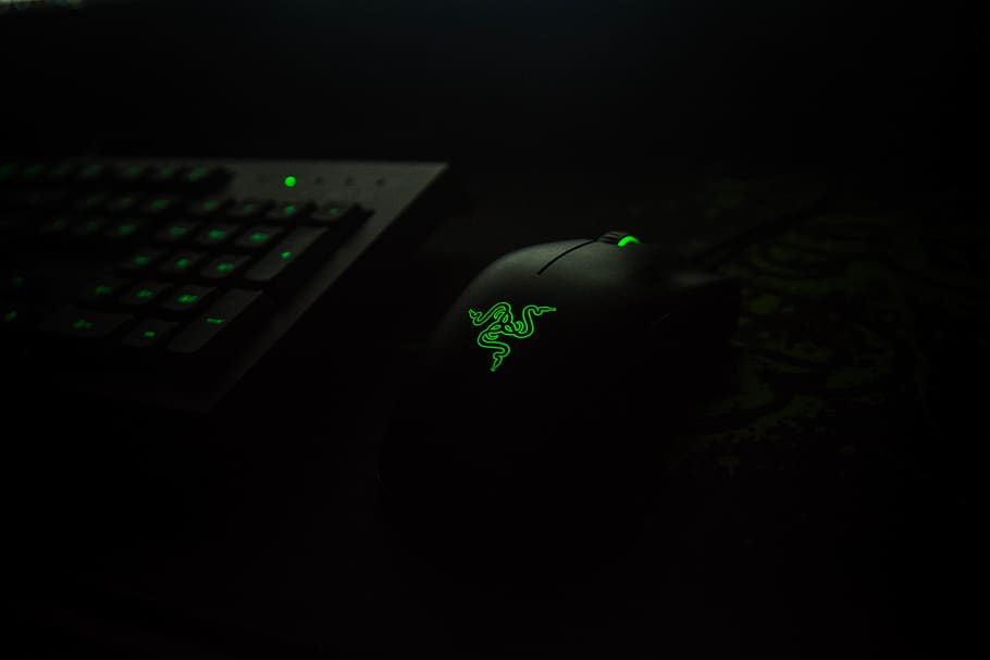 Razer Keyboard RGB, plant part, night, studio shot, dark Free HD Wallpaper