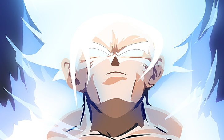 son, goku, ultra instinct dragon ball, dragon ball Free HD Wallpaper