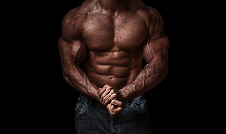 Striated Chest, press, bodybuilder, abs, biceps Free HD Wallpaper