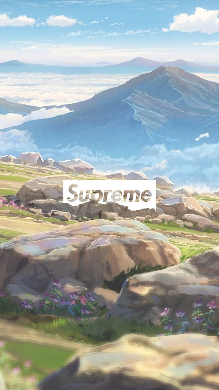 Supreme Cartoon Logo 1080, beauty in nature, supreme, western script, number Free HD Wallpaper