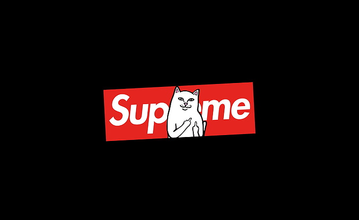 Supreme iPhone, low angle view, black background, capital letter, cat Free HD Wallpaper