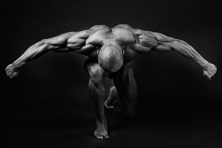 Woman Body, pose, arms, muscles, bodybuilder Free HD Wallpaper
