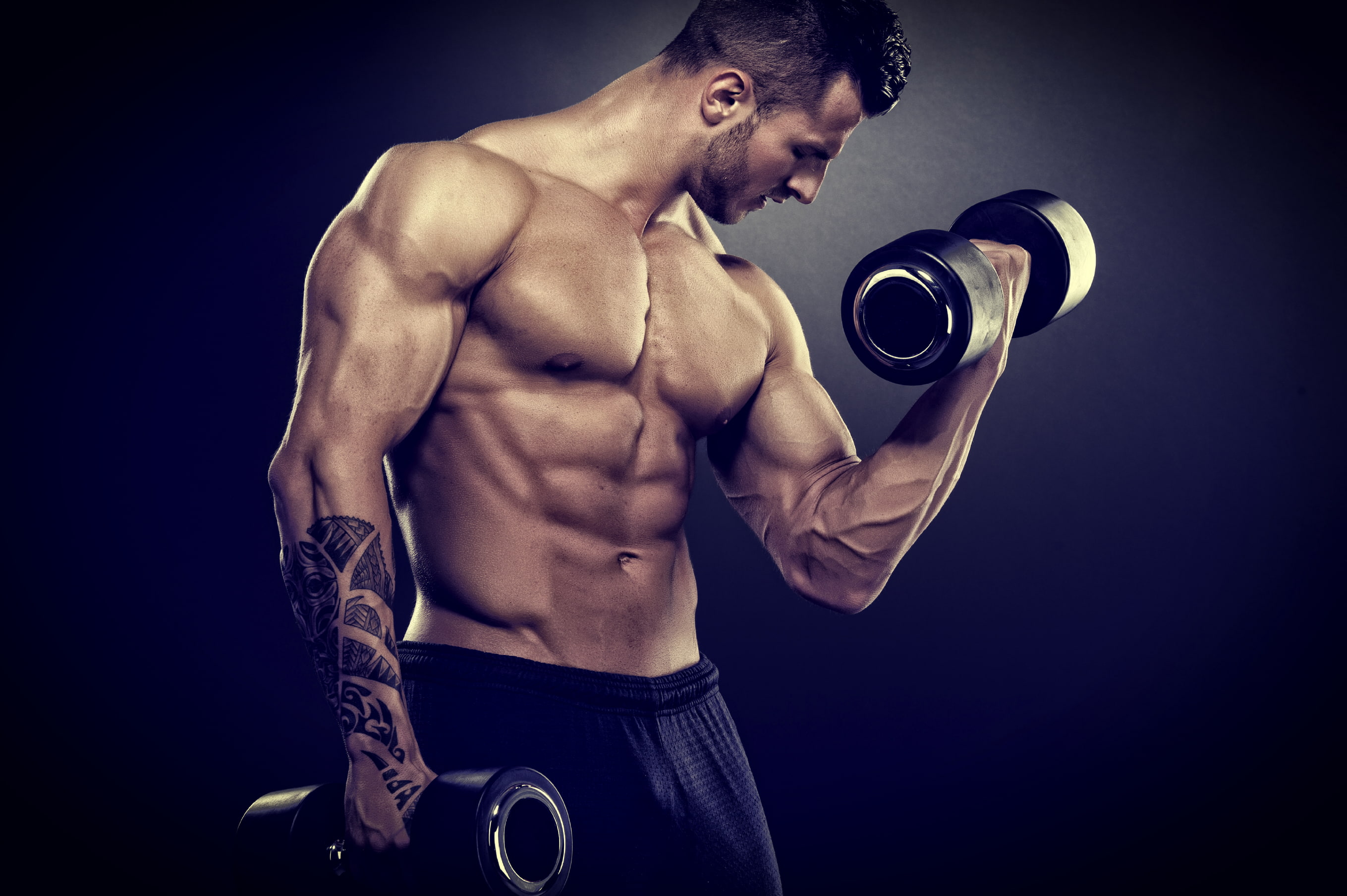 Young Man Lifting Weights, athlete, sports training, exercise equipment, human muscle