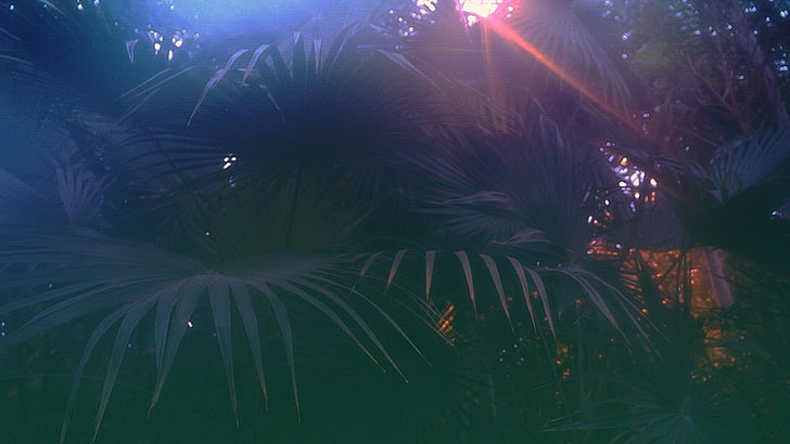 Aesthetic Vaporwave Trees, tranquility, outdoors, blue, palm tree