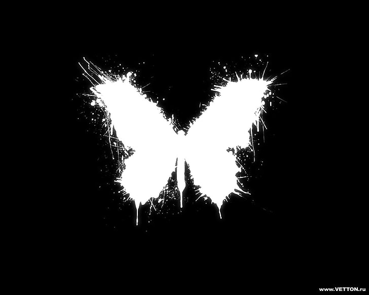 Black Butterfly with White Stripe, plant, tree, motion, sky Free HD Wallpaper